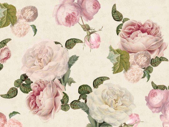 Wall Art Originals Roses cream - mural róże