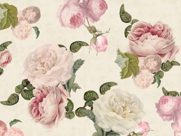 Wall Art Originals Roses cream - mural róże