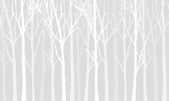 Wall Art Originals Zimowy las grey - mural drzewa