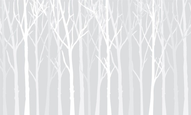 Wall Art Originals Zimowy las grey - mural drzewa