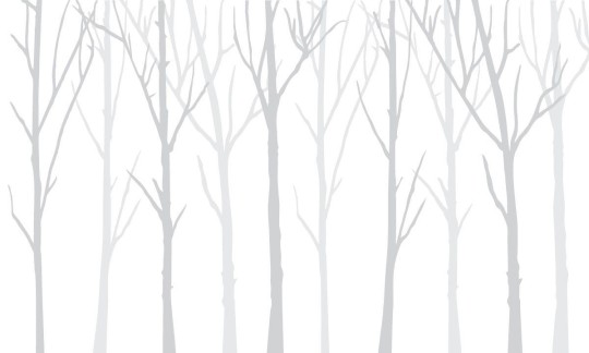 Wall Art Originals Bare Trees białe tło i dwa szare - mural drzewa