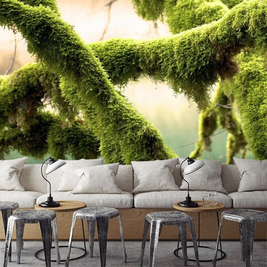 Wall Art Originals W krainie mchu - mural mech