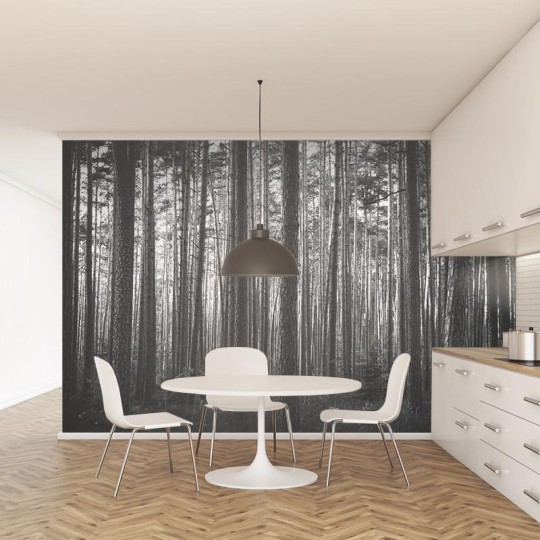 Wall Art Originals Leśny Poranek Black&White - mural drzewa