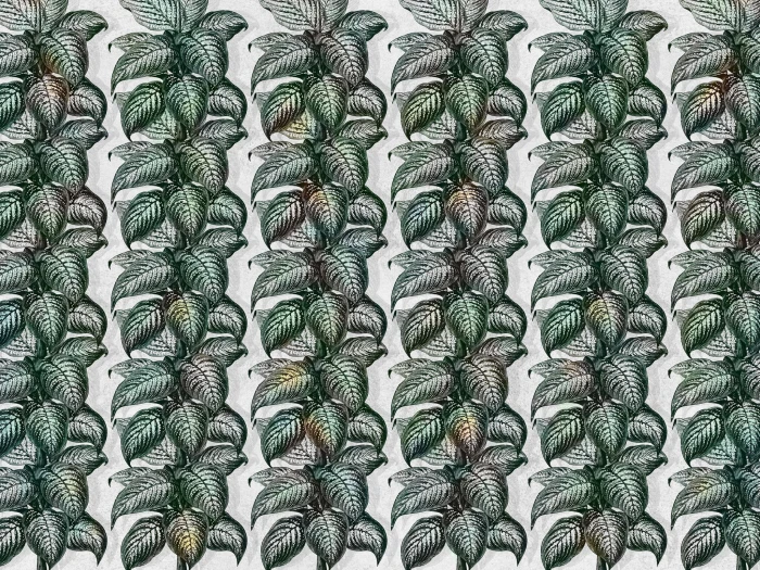 2e4868e5287a03a07dfb64c83291ddb1