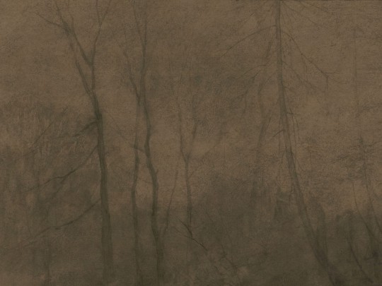 Wall Art Originals Foggy Morning - mural drzewa