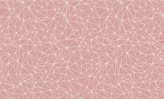 Wall Art Originals Cosy web dirty pink - mural geometryczny