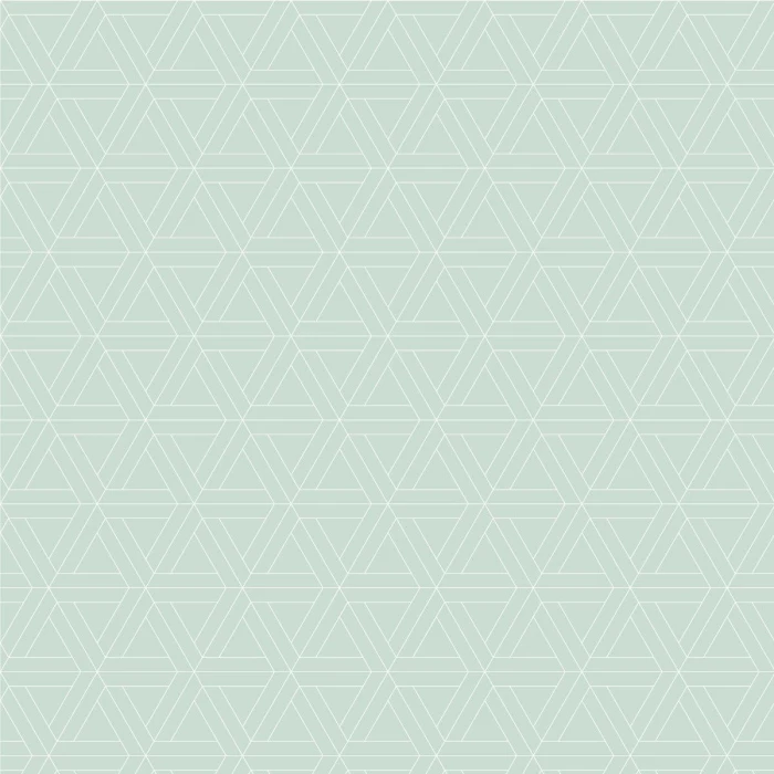 840047c57af0df065e87cb5896e0d2ec