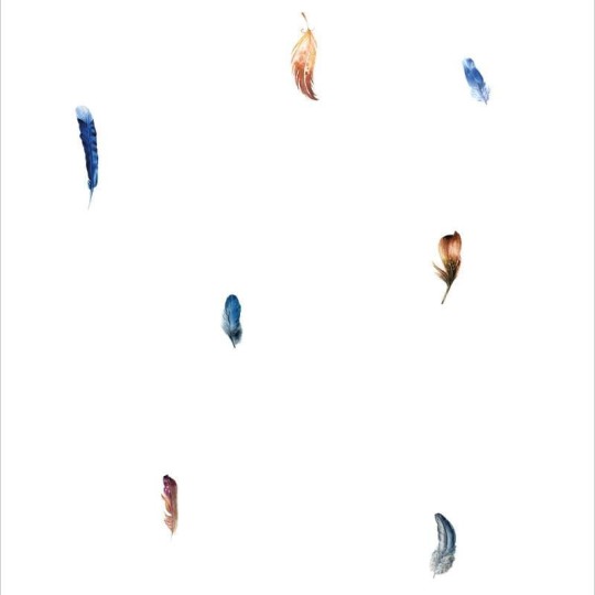 Wall Art Originals Boho Feathers - mural pióra