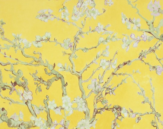 BN Walls 17143 Van Gogh 2 - tapeta kwiaty migdałowca