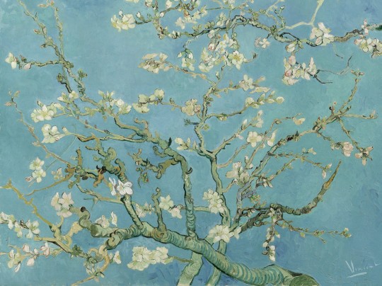 BN Walls 200330 Van Gogh 2 Almond Blossom - tapeta kwiaty migdałowca