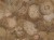 2da0cccf04ce7490a9dca93be0b7ab30