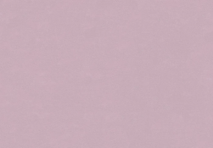 592f8953c6d6f19d9f6046b95a85c206