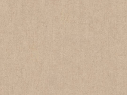 BN Walls 46004 Color Stories Chapter One - tapeta blady brąz