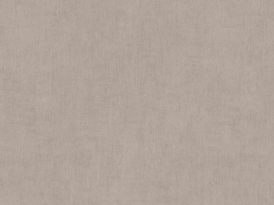 BN Walls 220861 Color Stories Chapter Two - tapeta szara