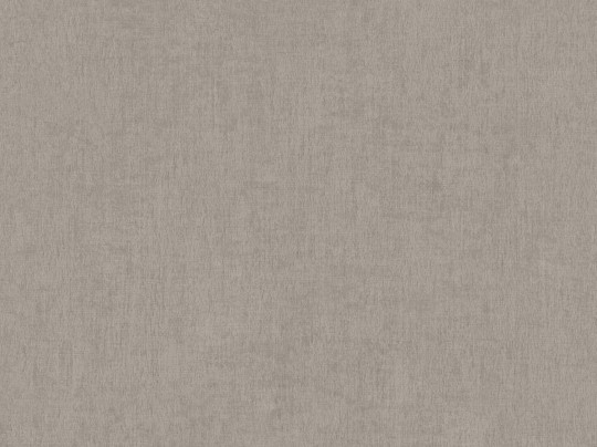BN Walls 48476 Color Stories Chapter Three - tapeta szara