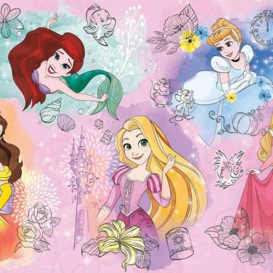 Mural York Disney Kids 4 RMK11414M Disney Princess