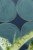b9e2ac80064c56248a032e013ab88f6a
