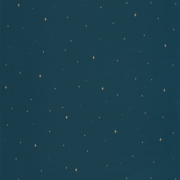 Caselio 102966645 LA FORÊT UNDER THE STARS - tapeta w gwiazdy