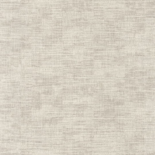 Caselio 102841712 VELVET UNI MAT - tapeta szara