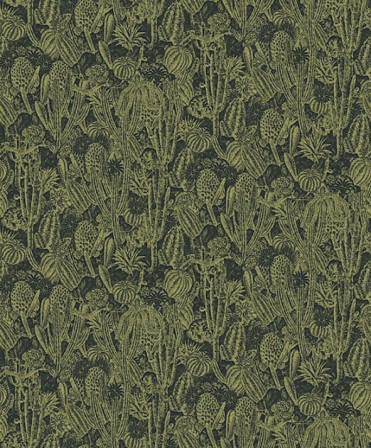 Khroma HAV204 Hawana Cactus - tapeta złote kaktusy