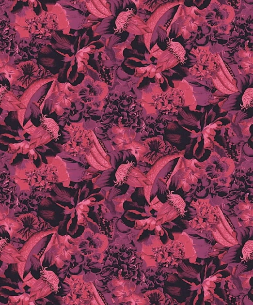 Khroma HAV903 Hawana Frida - tapeta tropikalna
