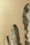 d7e3128e2792afb5bf325c449c99a34f