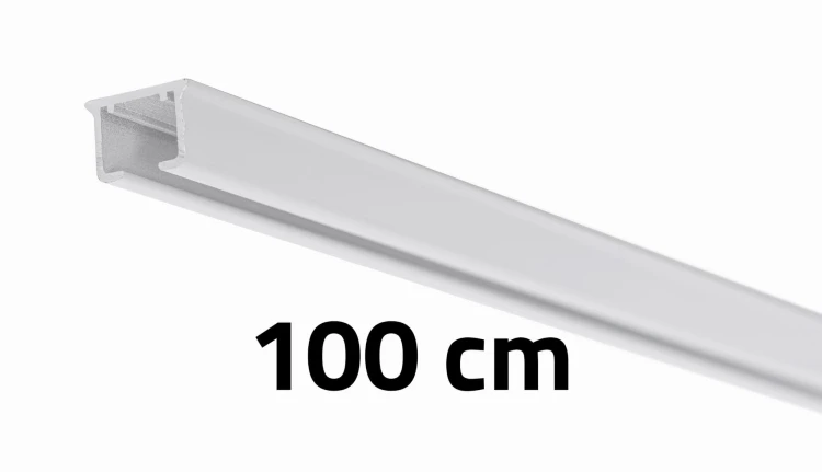 D100.jpg