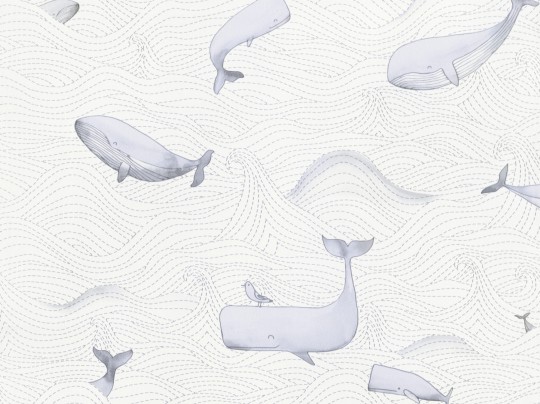 BN Walls 220730 Doodleedo Dive into the ocean - tapeta wieloryby