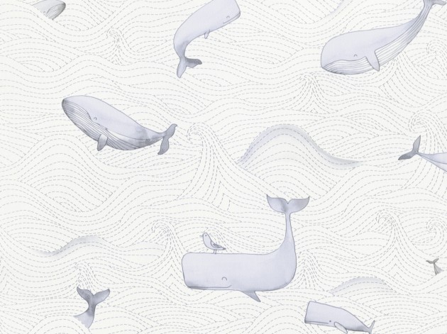 BN Walls 220730 Doodleedo Dive into the ocean - tapeta wieloryby