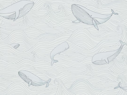 BN Walls 220731 Doodleedo Dive into the ocean - tapeta wieloryby