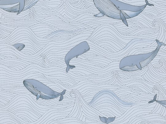BN Walls 220732 Doodleedo Dive into the ocean - tapeta wieloryby