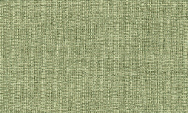 Arte 49517 Gitane Nongo Olive - tapeta imitująca wiklinę
