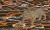bc9f07750fc6031a533f1a0505c5b9c2