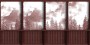 a290408423de284a3c7694d7dc57ed11