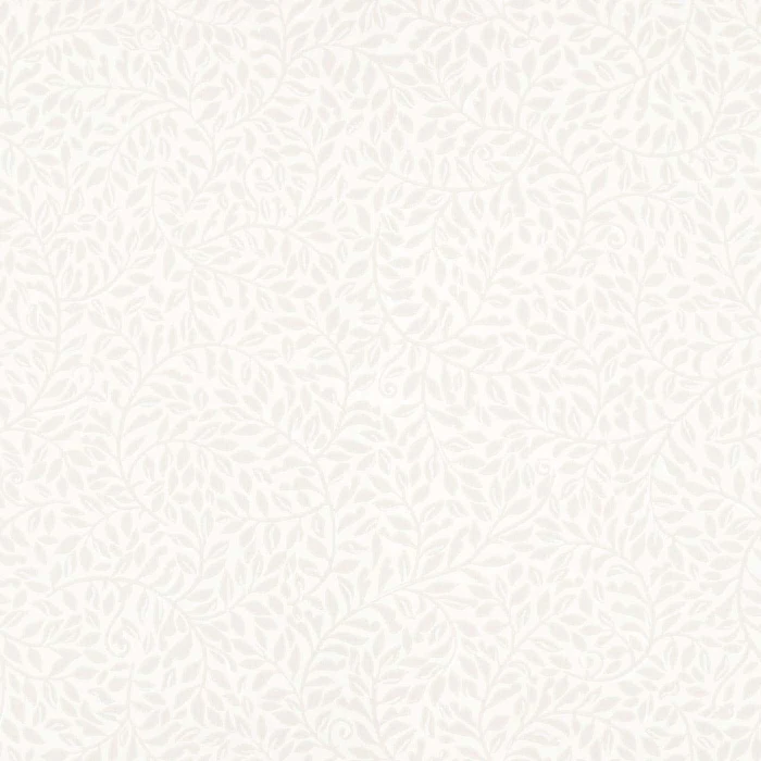 6eecdd86dc4fa4cae44054c18a542809