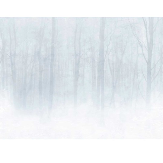 Sandberg 622-18 Special Edition Vinterskog Grey-  mural zimowy las