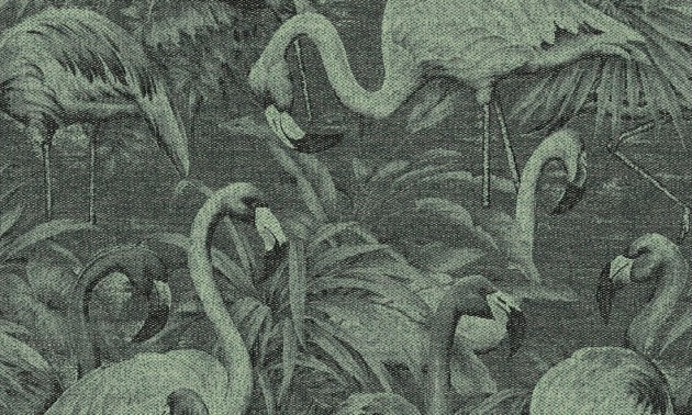 Arte 97610 Decors & Panoramiques Flamencos Andinos Almond Green - mural z flamingami