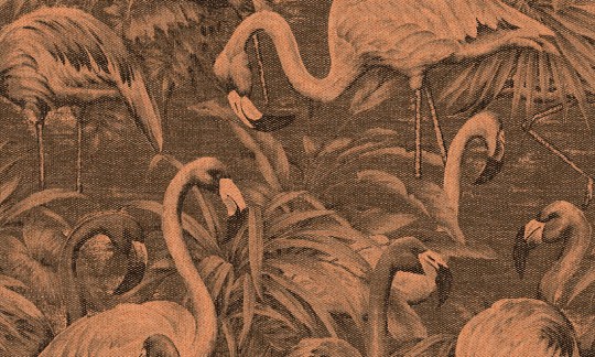 Arte 97611 Decors & Panoramiques Flamencos Andinos Butterfly Weeds - mural z flamingami