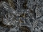 d810028ef0bbdf756df691913be07dcf