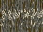 2918c007f641e01babd9faa4476e4602