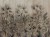 a420ea9bd54c8d2ce15c131349beb6c1