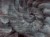 1592cb96645b589451e9d7a5035e13c1