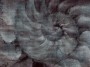 1592cb96645b589451e9d7a5035e13c1