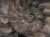 a441e79358917af17efb1a33bd2166c3