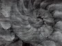 a7bc8953178e735a55ab87dd05a0ae2c