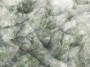 40258ac6b9d4899e8d0135bb6aff95b8