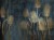 41b9f066908ef334eea8d1d7b81c18b3
