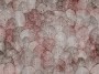 2c8a81b099d1e7d1c2f17b60ae12ac4e