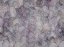 675527900352f0727e0a7cfa411871e7