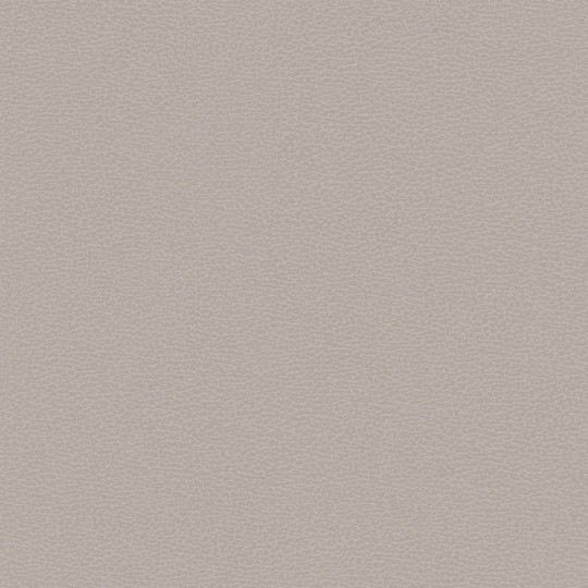 Tapeta akustyczna Texdecor Vinacoustic Dune 2 DNE90239302